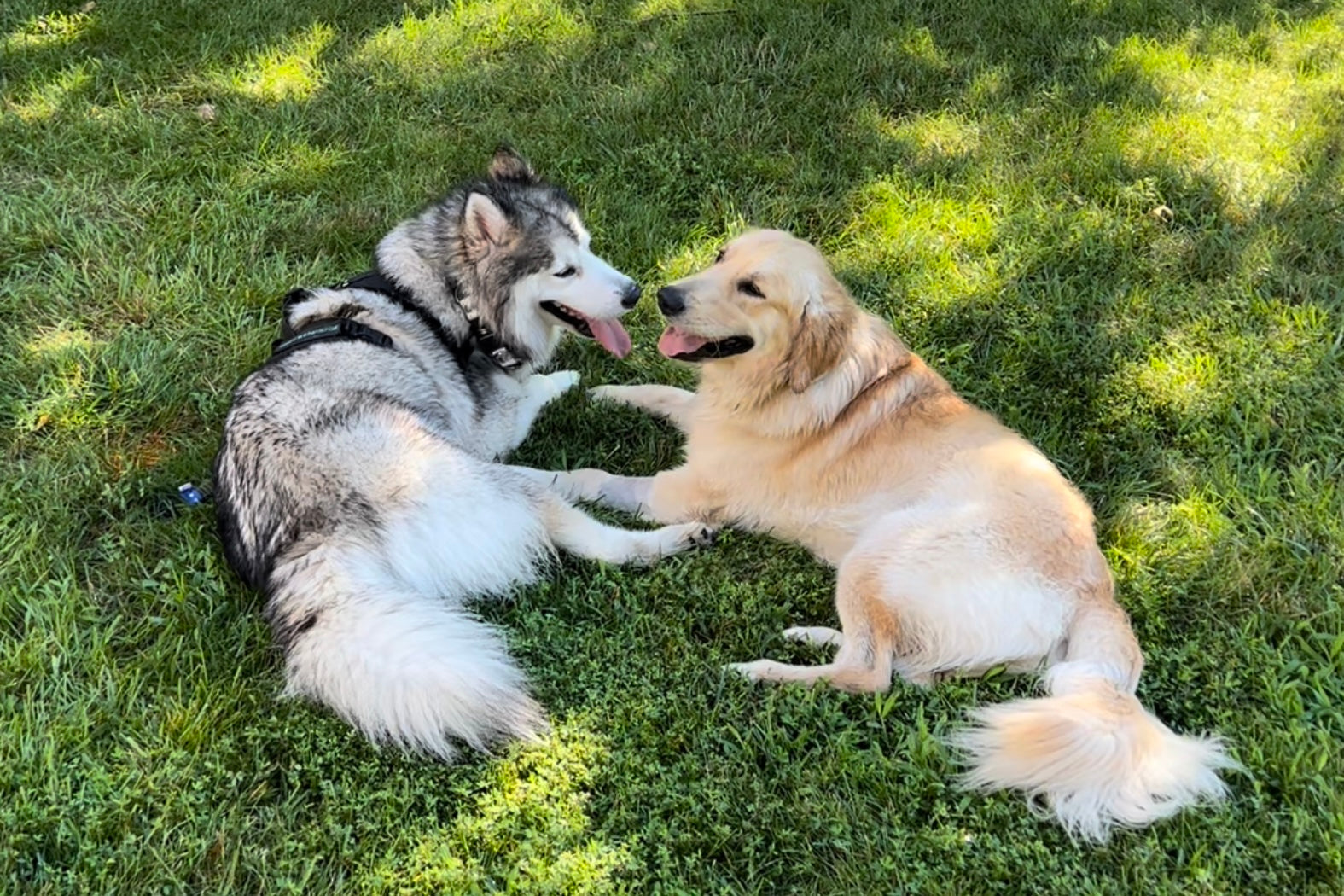 Welcome to The Daily Sniff: Notes from Nose Pop!