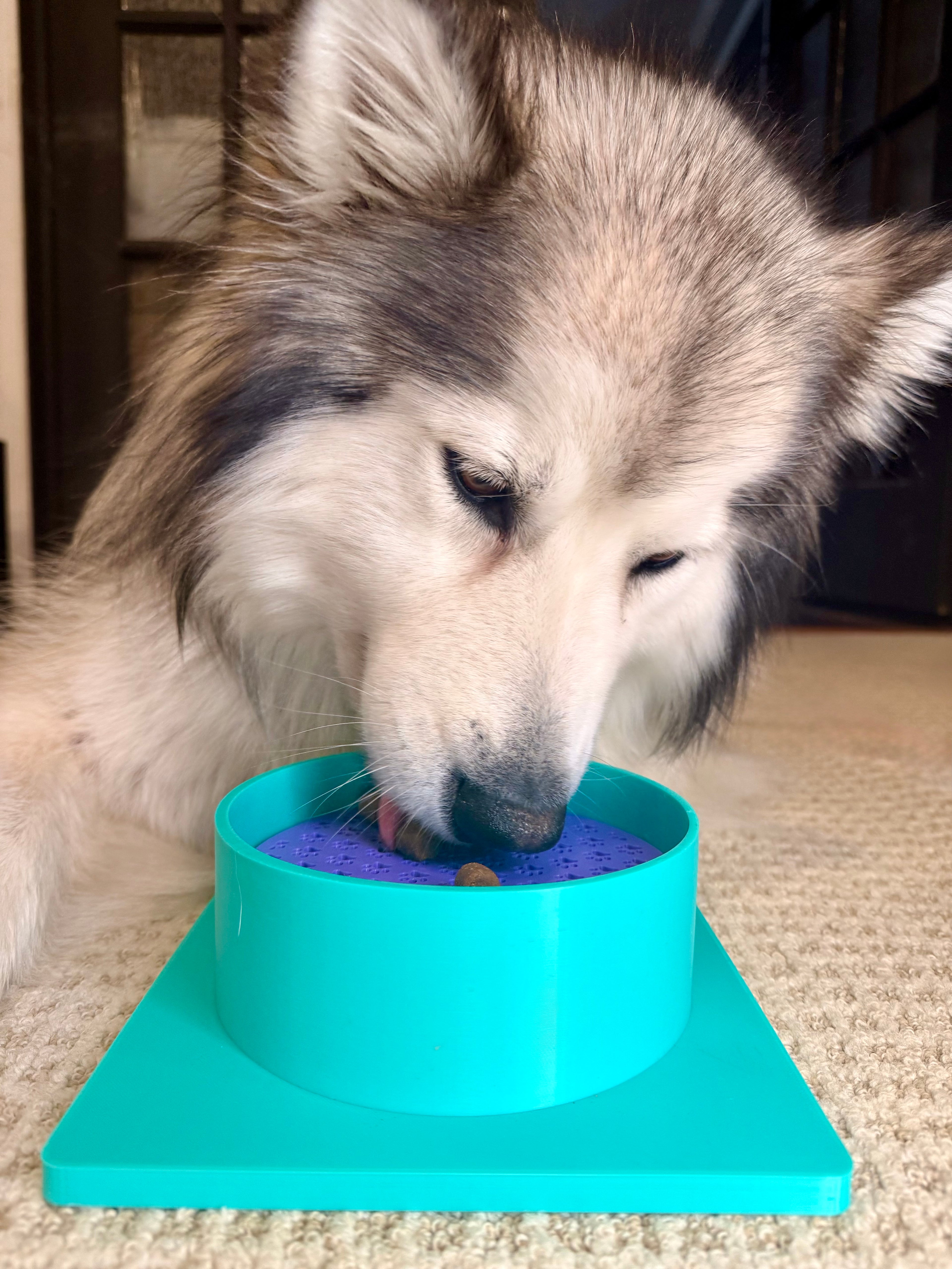 Shorty Scent Bowl