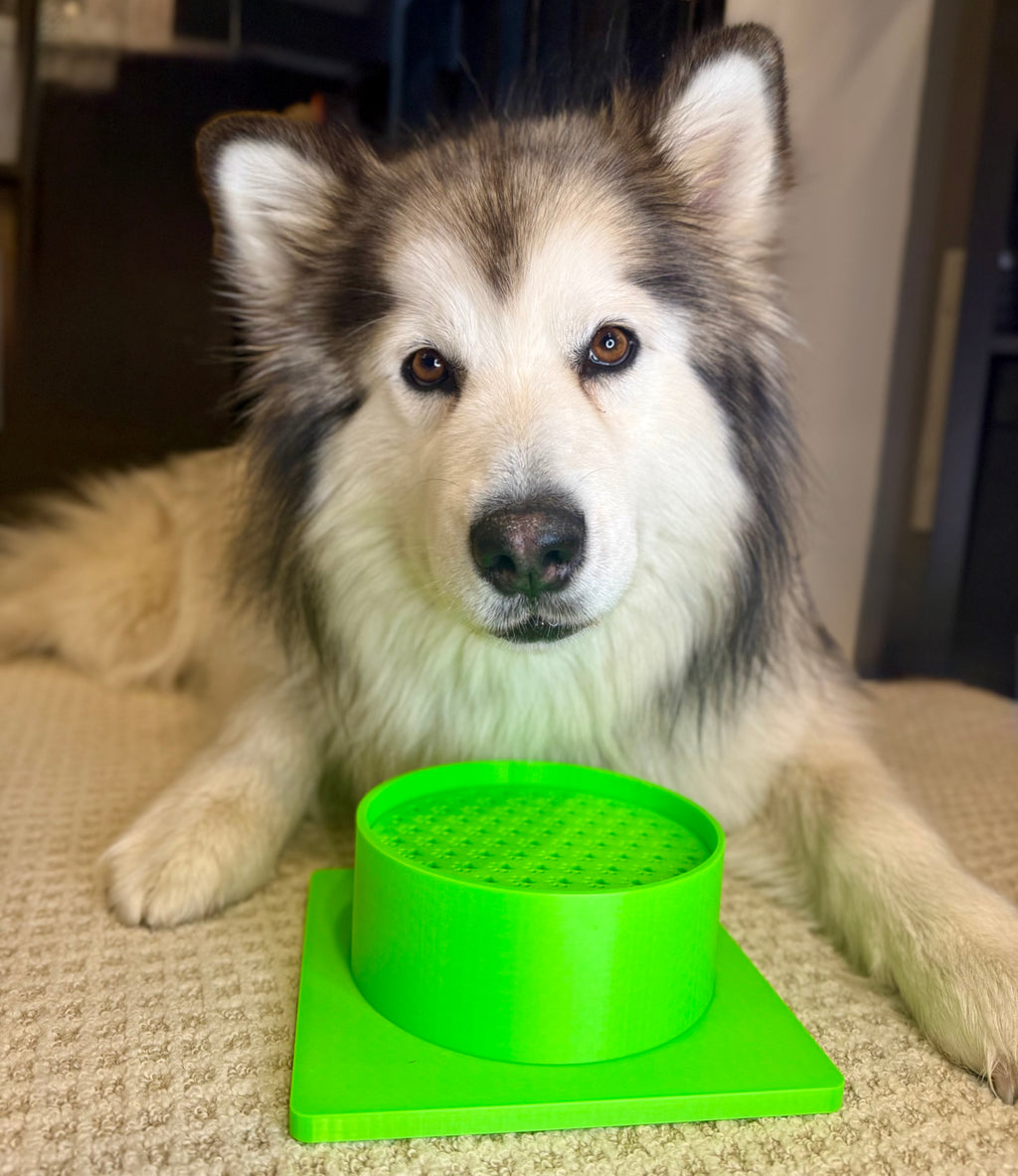 Shorty Scent Bowl
