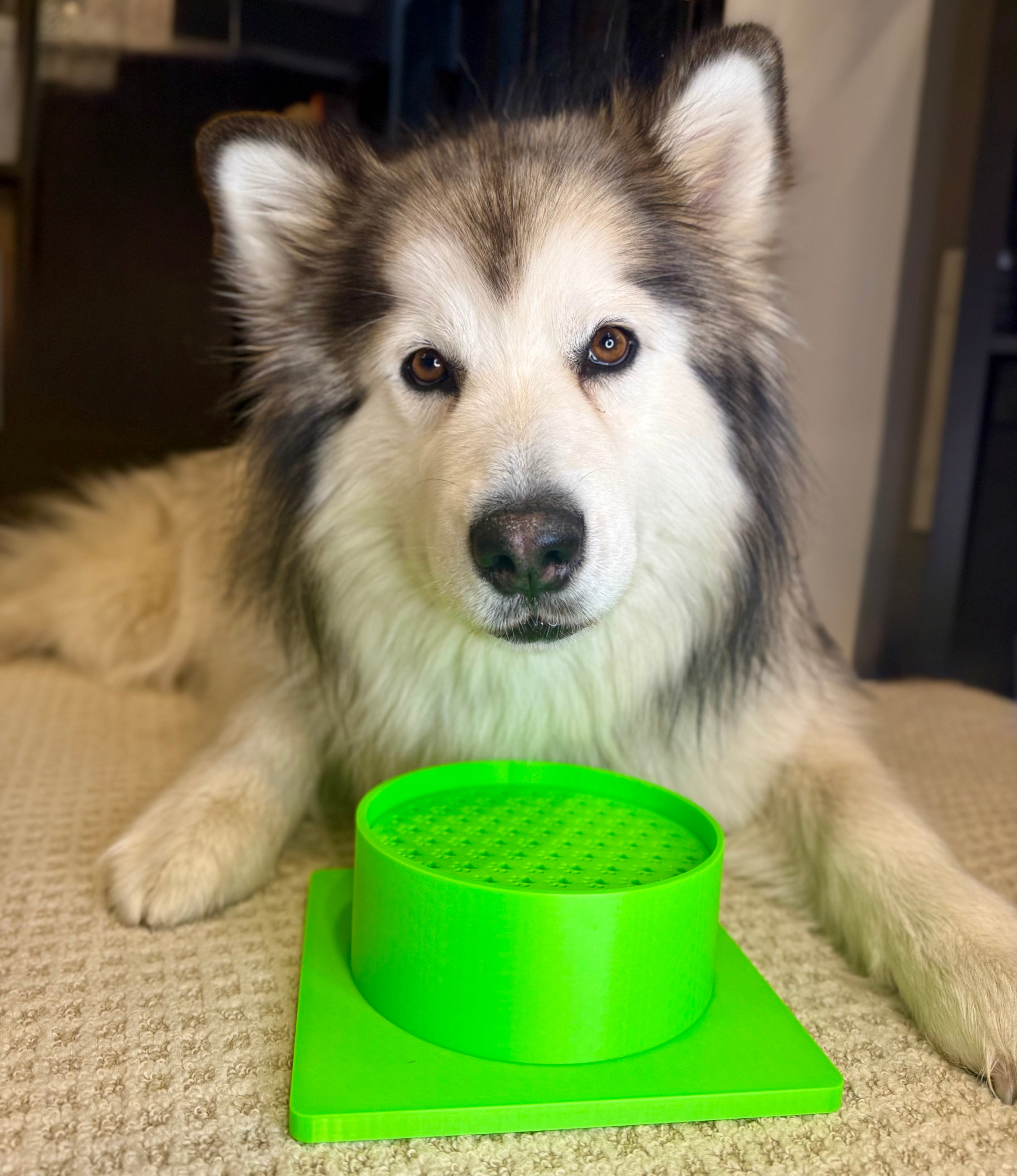 Shorty Scent Bowl