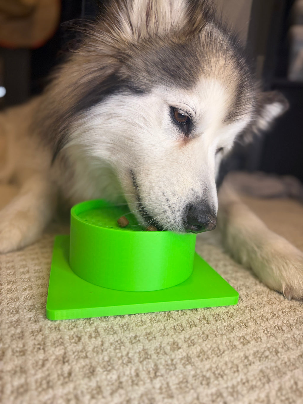 Shorty Scent Bowl